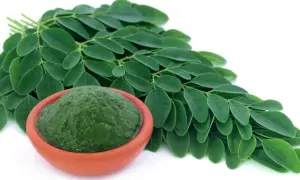 Jak pić herbatę moringa, aby maksymalnie wykorzystać jej korzyści