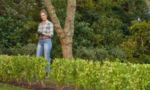 Mujer sonriente con guantes, lista para plantar setos en su jardín.