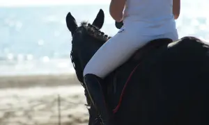Jeździec w białych bryczesach i czarnych butach siedzi na czarnym koniu. W dłoni trzyma **riding crop**.