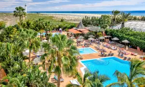 Relaks przy basenach hotelu IFA Altamarena, z palmami i widokiem na ocean.