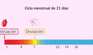 Ciclo menstrual de 21 días. La menstruación y ovulación son clave. ¿Sabías que te puedes quedar embarazada con la regla?