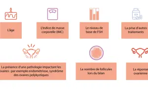 Facteurs influençant la stimulation ovarienne : âge, IMC, FSH, traitements, pathologies, nombre de follicules et réponse ovarienne.