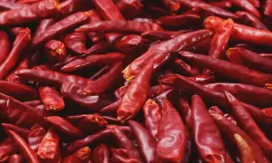 Góra suszonych, czerwonych papryczek chili, pełnych kapsaicyny, gotowych do dodania ostrości.