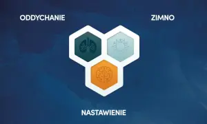 Grafika przedstawia trzy ikony: płuca, płatek śniegu i mózg, symbolizujące oddychanie metodą Wima Hofa, zimno i nastawienie.