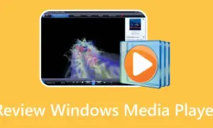 Jakie formaty obsługuje Windows Media Player i jak je odtwarzać?