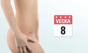 En illustration av en graviditet i vecka 8. En kalender visar "Vecka 8".
