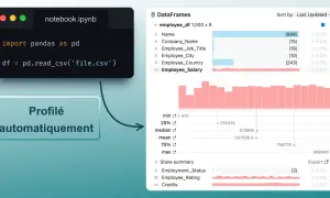 Le code Python utilise pandas pour charger un fichier CSV dans un DataFrame. Le DataFrame est ensuite profilé automatiquement, montrant des statistiques et des visualisations pour les données.