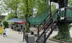 Park linowy Poznań dla dzieci: Który wybrać? Porównanie ofert