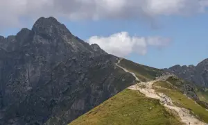 Kamienista ścieżka wije się pośród zielonych zboczy, prowadząc turystów ku skalistym szczytom w Tatrach.