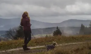 Góry z psem: przewodnik po przepisach, trasach i przygotowaniu