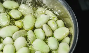 Zielony bób gotuje się w wodzie, przygotowując się do pysznego dania z masłem.