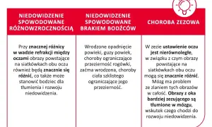 Niedowidzenie może być spowodowane różnicą wad refrakcji, brakiem bodźców lub zeza. Obrazy z oka zezującego są tłumione w mózgu.