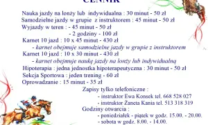 Cennik usług jeździeckich w klubie jeździeckim Profit: nauka jazdy, hipoterapii, sekcje sportowe. Zapisy telefoniczne.