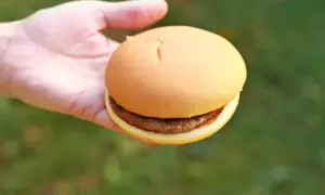 Hamburger McDonald's: 258 kcal. Porównaj i wybierz świadomie!