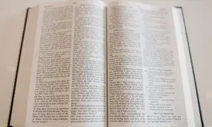 Ostatnia księga Nowego Testamentu, Apokalipsa św. Jana, przedstawiona na otwartej Biblii.