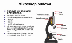 Do czego służy stolik w mikroskopie? Odkryj jego kluczowe funkcje