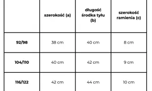 Tabela rozmiarów odzieży: dla dziecka w wieku 6 lat jaki rozmiar wybrać? Wymiary w cm: szerokość (a) 38, długość (b) 40, szerokość ramienia (c) 8.