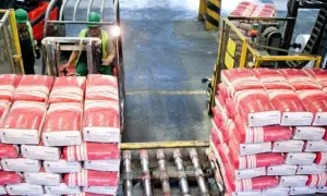 Ile kosztuje worek cementu? Sprawdź ceny i oszczędź na budowie