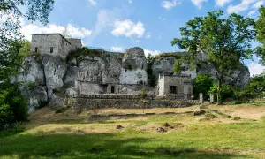 Ruiny zamku na skale, zielona trawa i drzewa. Wspaniałe morsko atrakcje dla miłośników historii i przyrody.