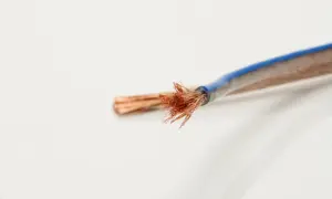 Rozplątane końcówki miedzianego kabla głośnikowego, z niebieską izolacją. Idealny do połączeń audio.