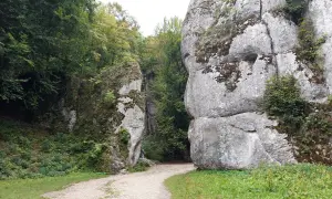 Kamieniste ścieżki wiodą przez skalne wąwozy na pogórzu, otoczone bujną zielenią i omszałymi skałami.