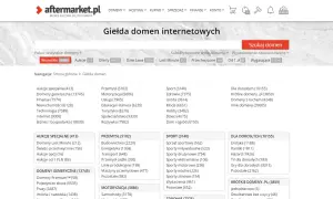 Wycena domeny internetowej: Jak poznać jej wartość i zarobić?