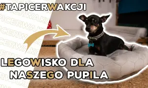 Legowisko dla psa z poduszki: Prosty DIY zrób to sam!
