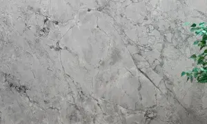 Szara powierzchnia z żyłkami, przypominająca naturalny **dolomit**, z zielonymi liśćmi rośliny po prawej stronie.