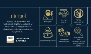 Grafika przedstawia logo Interpolu i ikony symbolizujące terroryzm, handel ludźmi, narkotykami i bronią, cyberprzestępczość, przestępstwa finansowe i poszukiwanie osób.