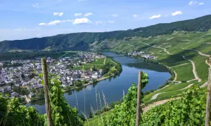 Herrliche Aussicht beim Moselsteig wandern: Weinberge schlängeln sich am Fluss entlang, ein Dorf schmiegt sich an die Mosel.