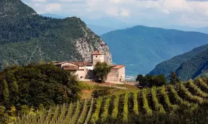 Castello medievale su una collina, circondato da vigneti e montagne, tipico dei paesi Val di Non.