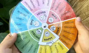 Rueda de las emociones para ejercicios de autoconocimiento. Identifica tus sentimientos con este círculo de emociones.
