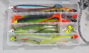 Köderbox mit bunten Gummifischen und Jigs, bereit für das Schleppen auf Hecht.