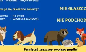 Zwierzęta z objawami wścieklizny są agresywne i ślinią się. Nie głaszcz ich, nie podchodź! Zaszczep swojego pupila.