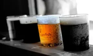 Degustacja piw, w tym ciemnego milk stout, z etykietą "Tigerfish Brewing".