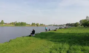 Wędkarze relaksują się nad wodą, łowiąc ryby na zalewie Stryków. Słoneczny dzień sprzyja wypoczynkowi.