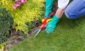 Grüne Handschuhe und eine Gartenschere für saubere Rasenkante Ideen. Perfekt für den gepflegten Garten.