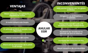 Anular EGR: ventajas como mayor potencia y ahorro, inconvenientes como más contaminación.