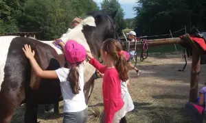 Dzieci pomagają przy koniu w stajni Wiczlino Niemotowo. Cieszą się wspólnym czyszczeniem zwierzęcia.
