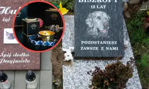 Nagrobek psa z imieniem "Biszkopt", urną, świecą i zabawkami.