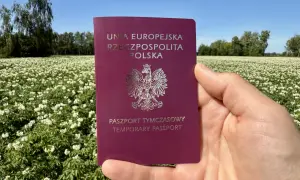 Paszport tymczasowy dla dziecka w dłoni na tle kwitnącego pola ziemniaków.