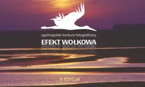 Ogólnopolski konkurs fotograficzny "Efekt Wołkowa" II edycja. Sylwetka ptaka na tle zachodzącego słońca nad wodą.