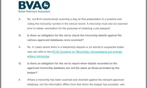 British Veterinary Association guidance on scanning dogs and the need to update dog microchip details for rabies vaccinations and pet passports.