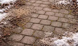 Ein Weg aus rechteckigen Pflastersteinen, der im Winter mit Schnee und Laub bedeckt ist. Die Steine sind unregelmäßig verlegt, was den Eindruck von **pflastersteine schneiden** erweckt.