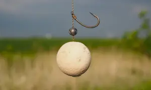 Ein Karpfenköder, ein Boilie mit Haken und Blei, hängt an einer Schnur. Der kd rig ist bereit für den Einsatz.