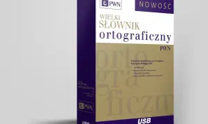 Wielki słownik języka polskiego PAN: poznaj jego unikalne cechy i dostępność