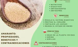 Amaranto: semillas doradas en cuchara de madera, detallando sus propiedades nutritivas, digestivas y beneficios para el corazón.