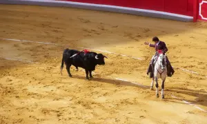 Torreador na koniu mierzy do czarnego byka na piaskowej arenie.