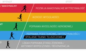 Grafika pokazuje poziomy wysiłku i ich efekty. Umiarkowany wysiłek poprawia wydolność aerobową.