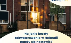 Ile kosztuje wynajem mieszkania w Holandii? Ceny, które zaskakują
